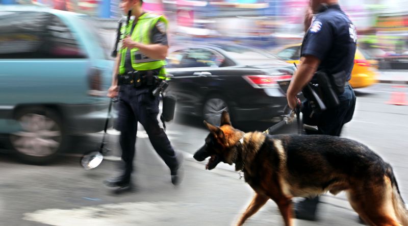 Maître chien Marseille